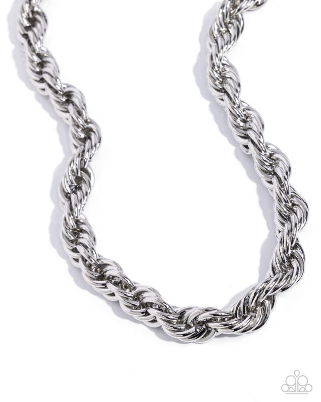 Paparazzi Complete Curves  Silver Necklace